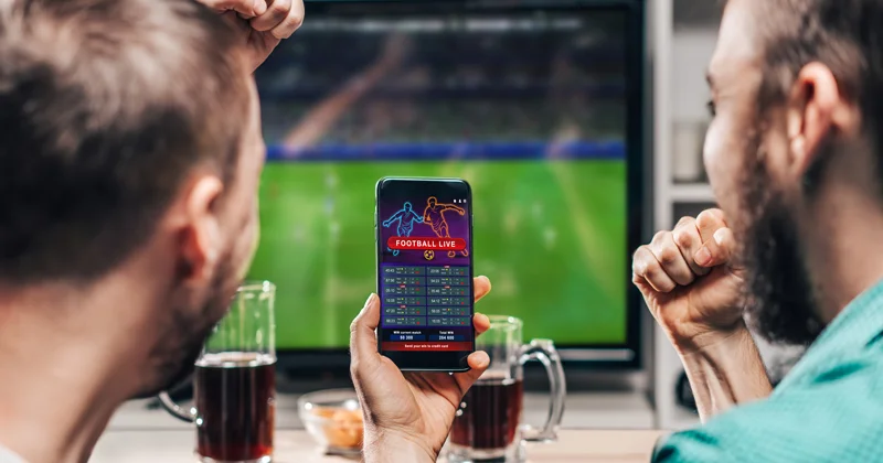 pay per head services for creating a sports betting business